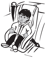 Forward Facing Child Safety Seat Belt