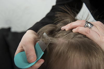 Adult using a lice detection comb on a child's head