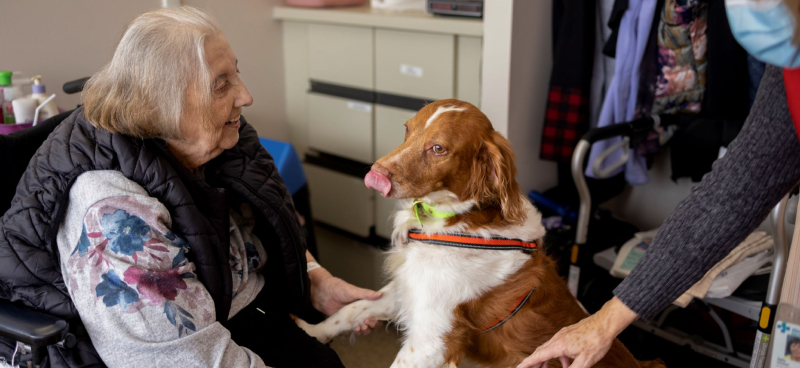 Guidelines for your pet visit