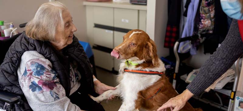 Animals in healthcare facilities