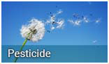 Using pesticides around your home