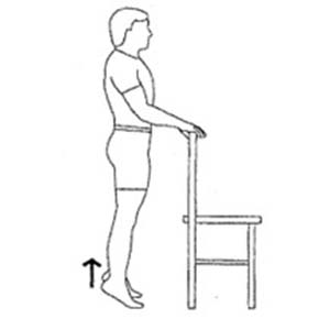 Person standing, holding onto chair for support, raising both heels off the ground.