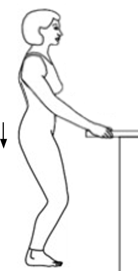 Standing up straight, feet flat on the floor shoulder width apart, hold counter or table for balance and slowly bend knees while keeping heels on the floor.