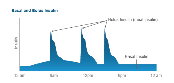 Graph showing steady basal insulin and extra bolus insulin given over 24 hours.
