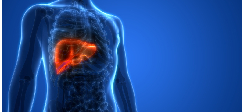 Your journey with hepatitis B