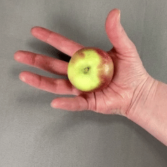 Close up of hand. Fingers are wrapping around an apple to hold it.