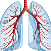 Lung%20Health