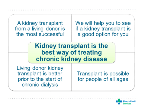 Infographic states kidney transplant is the best way to treat chronic kidney disease.